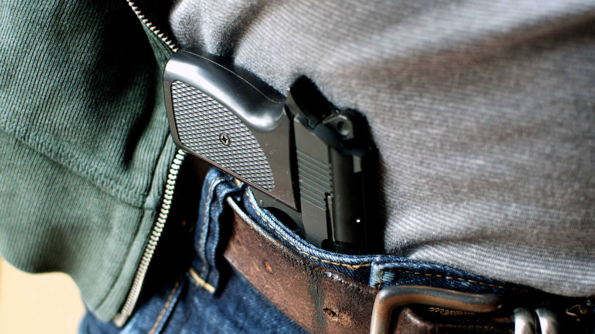 One Day – Hybrid Illinois Concealed Carry Class on sale for $89